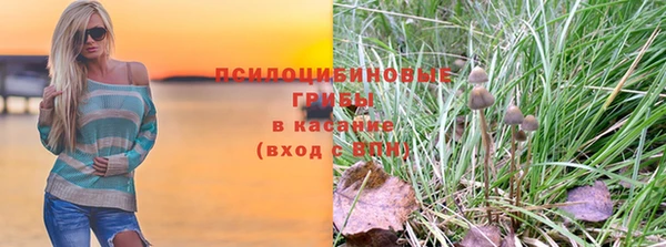 эйфоретик Белокуриха
